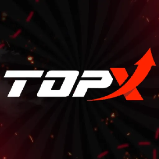 TopX